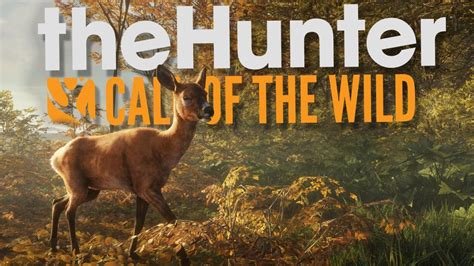 hunter call of the wild wiki